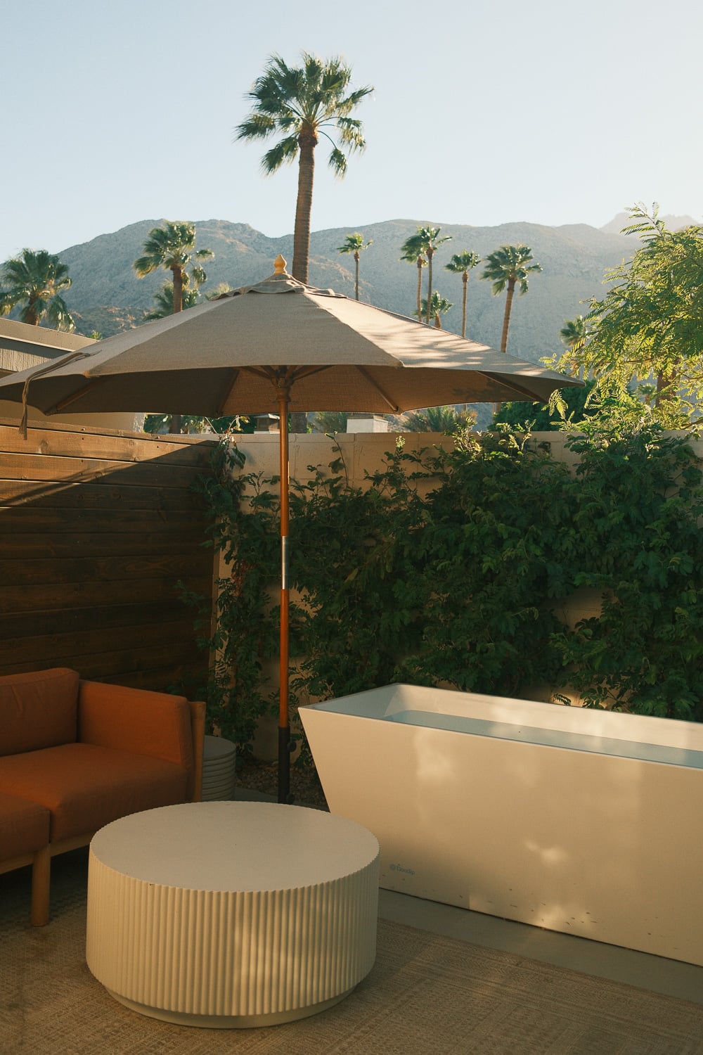 Terra Palm Springs Photographed by Abdon Mora Santa Barbara based photographer